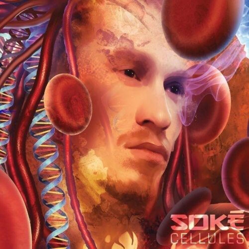 Soke - Cellules  CD